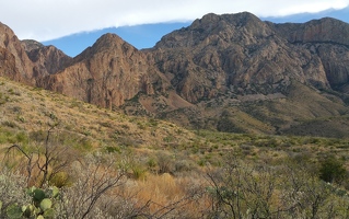 On the Cattail Falls trail